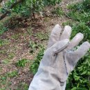 진표농장 이미지