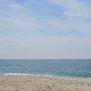 코스타몰 이미지