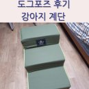 도그바라기 이미지