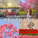 패스짐 | 후쿠오카 여행 오호리공원 차리차리 자전거 대여 꿀팁, 카고패스 짐 배송 후기