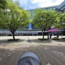 아하잉글리쉬 - 관악구 문성로36길 12 | 부산 베이비페어 유아교육전 아기데리고 혼자 방문기(프뢰벨, 디즈니월팸, 몬테소리, 웅진 등)