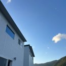 포메리카노 | 밀양 애견 독채펜션 : 포메리카노(제제/ 솔직후기)