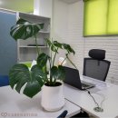 케어네이션 동안센터 이미지