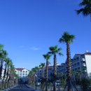 대명리조트 제주 이미지