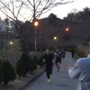 맥스체대입시학원 이미지