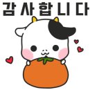 메가마트 고양점