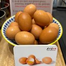 샤브20 사하점 이미지