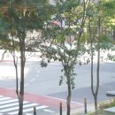 크리스탈웨딩 | 메이크업희소 더루아 대전웨딩 대전결혼준비 ICC호텔 크리스탈볼룸 웨딩영상 후기
