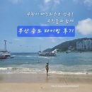 도전 - 삼척시 | 부산 송도해수욕장 거북이다이빙대 도전 후기, 수린이 버킷리스트 성공!
