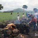 보롬제주 이미지