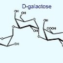 더로자
