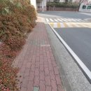 LG1차공인중개사사무소 이미지