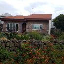 표선리-33 이미지