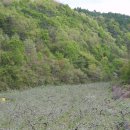 내고2농로 이미지