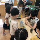 하빈초교병설 이미지