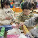 초록애견샵 이미지