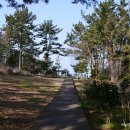 항몽유적지 이미지