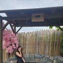 스테이한유 이미지