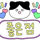 브라보낙곱새 이미지