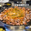 울산 생 뒷고기 | 울산 달동 고깃집 오늘김해뒷고기 남구 맛집 구워주는 가성비 고기집 단체 회식 추천