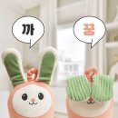 수트도노 | 7월 위틀집 임신 축하 BOX 웰컴박스 🩷100명 모집🩷