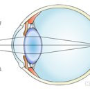 글라스월드 만수점 이미지