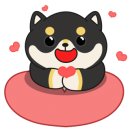 액티브 태권도장 이미지