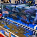 중매인54호 네이버블로그