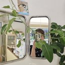 미누플레르