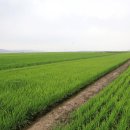 하리보건진료소 이미지