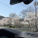 연산백련로 | 목포 대패맛집 목포 삼겹살 맛집 무한리필 용해대패가 이용 후기
