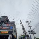 카율