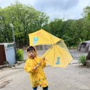 별을 다는 아이 | 비 때문에 아쉬웠던 캠핑 - 별을다는아이 (23.5.6~7)