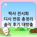 (주)디시에너지 | 픽사 전시회 후기: 디시 반응 분석 및 솔직 후기 (Pixar Exhibition Review)