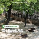 북서울꿈의숲 | 북서울꿈의숲 동문 주차장 주차요금 사슴장 피크닉 장소 (텐트 불가, 애견동반 가능)