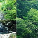 홍연 이미지