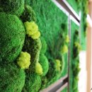 남한강초등학교 병설유치원 이미지