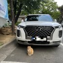 창녕이방 소구레 이미지