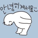 연세정약국 | 비염수술 부작용 걱정되시나요?[연세참이비인후과]