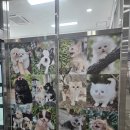 정직한 간판 이미지
