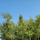 고대미농장 이미지