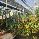 병식농장 이미지