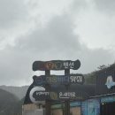 청송해달별펜션