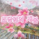 초당원