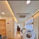 서른살나의펫2 이미지