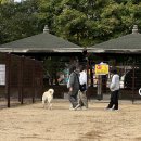 남동문화체육광장(2호) 이미지