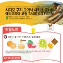 시다모 - 양양군 | 시다모