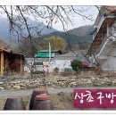 방골농장 Daum카페