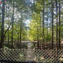 봄이 오는 길(시비 이미지