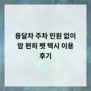 뭉치펫택시 | 용달차 주차, 민원 없이 맘 편히! 펫 택시 이용 후기!